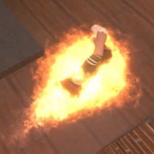 Meet your Posher, Sky